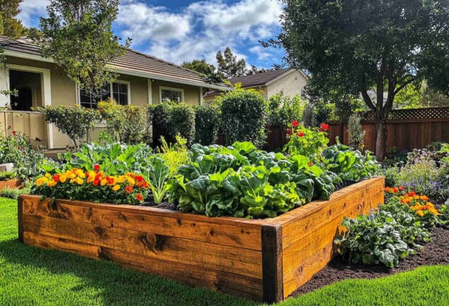 Carré potager surélevé en bois dans un jardin verdoyant, idéal pour cultiver légumes et herbes aromatiques avec style et confort.