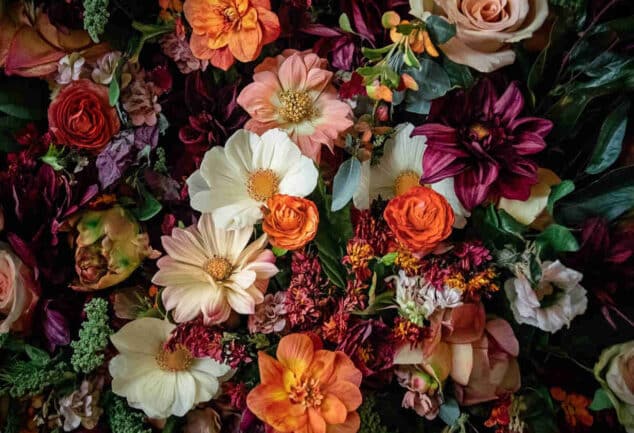 Un bouquet de fleurs séchées, élégant et naturel, disposé dans un vase ensoleillé